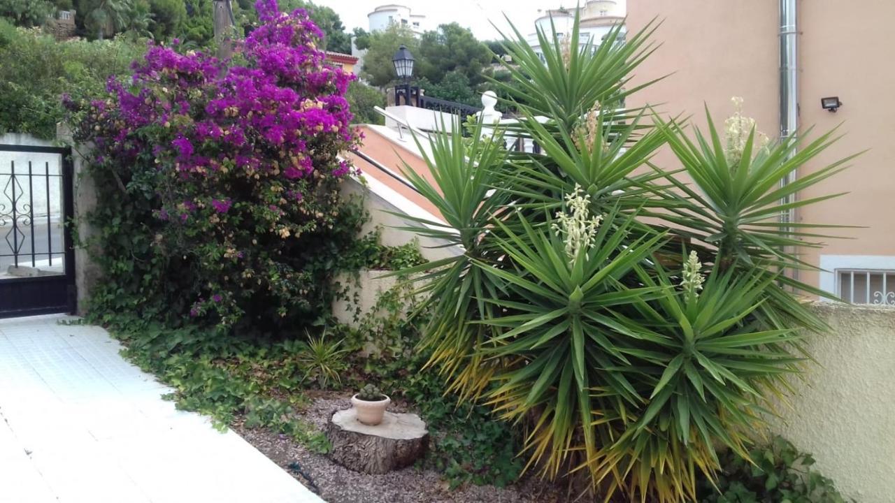 Chalet En Alcossebre Dış mekan fotoğraf